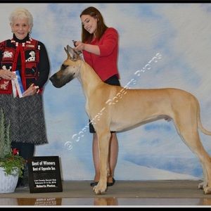 Meet your Posher, Sierra